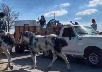 UN DIA ANTES LA COMISIÓN TUVO QUE ABRIR LA LAGUNA PARA LAS DELEGACIONES QUE LLEGAN A LA FIESTA