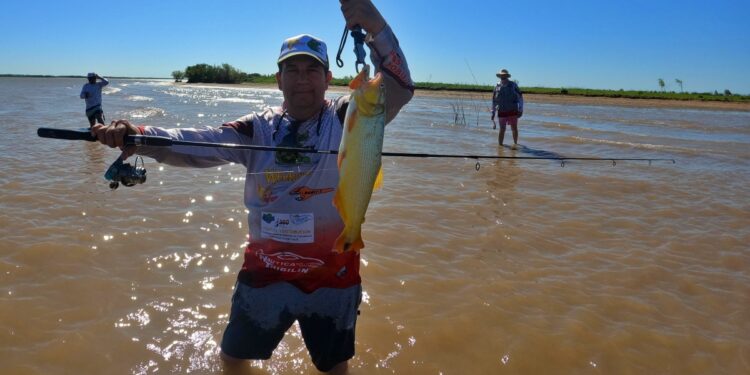 RAMALLO Y UN MOMENTO EXCEPCIONAL, DORADOS DE MUY BUEN PORTE. 1 RAMALLO Y UN MOMENTO EXCEPCIONAL, DORADOS DE MUY BUEN PORTE.