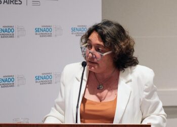 SENADO BONAERENSE: AVANZA UNA LEY PARA AMPLIAR LAS LICENCIAS DE MUJERES VÍCTIMAS DE VIOLENCIA