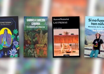 “IDENTIDAD NO ES PORNOGRAFÍA EXPLÍCITA NI ELLA ES INTERÉS SUPERIOR DEL NIÑO”