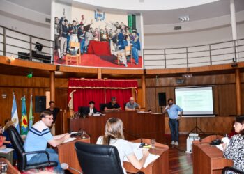 TASAS MUNICIPALES ATADAS AL VALOR DEL COMBUSTIBLE.