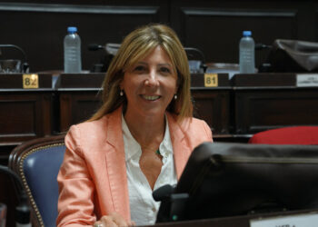 SILVINA VACCAREZZA FUE DISTINGUIDA COMO UNA DE LAS DIPUTADAS MÁS LABORIOSAS DEL 2024