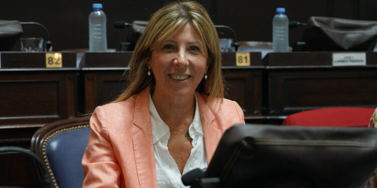 VACCAREZZA: QUE LA IMAGEN INSTITUCIONAL DE LA PROVINCIA NO SEA MODIFICADA POR LOS GOBIERNOS DE TURNO 1 SILVINA VACCAREZZA FUE DISTINGUIDA COMO UNA DE LAS DIPUTADAS MÁS LABORIOSAS DEL 2024