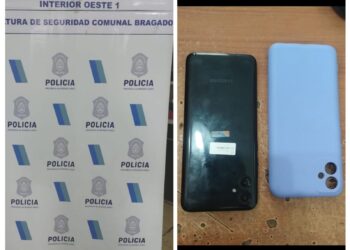 LE HURTO EL CELULAR A UNA MUJER. FUE APREHENDIDO