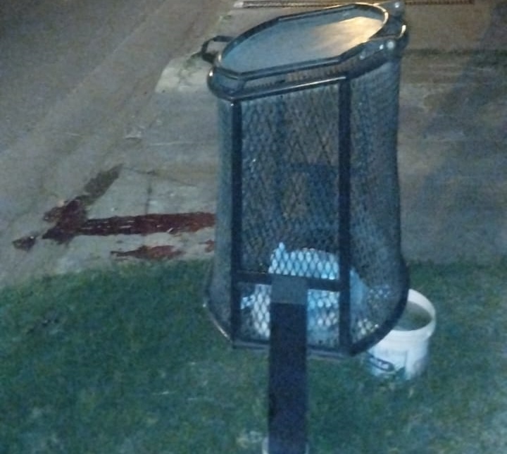 choco cesto de basura