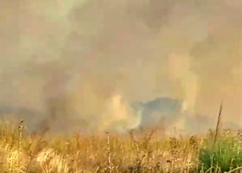 BOMBEROS PIDE COLABORACIÓN MIENTRAS EXTINGUE VARIOS  DE INCENDIO DE PASTOS CAMINO A MECHITA