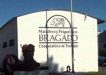 SENASA DIO UN ULTIMATUM A LA COOPERATIVA DEL FRIGORIFICO BRAGADO. INTERVINO EL INTENDENTE