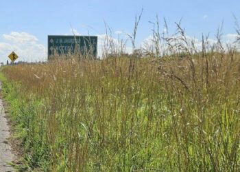 SE INICIAN OBRAS DE MANTENIMIENTO EN LA RUTA 5 TRAS INSISTENTES RECLAMOS