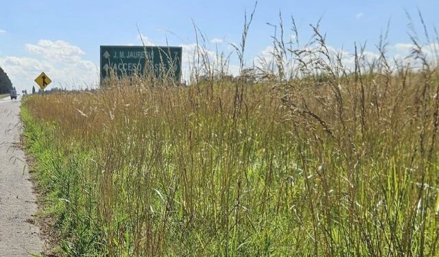 SE INICIAN OBRAS DE MANTENIMIENTO EN LA RUTA 5 TRAS INSISTENTES RECLAMOS