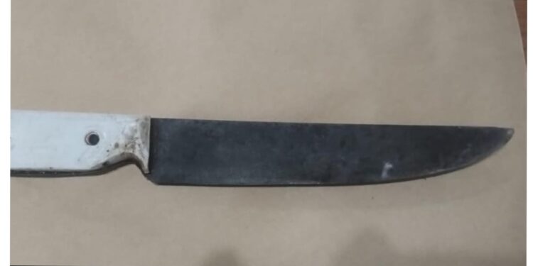 FUE A LA CASA DE SU EX CON UNA CUCHILLA Y AMENAZÓ A UN VECINO