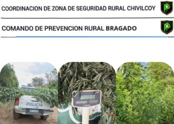 LA POLICIA SECUESTRO MAS DE 7 KILOS DE HOJAS DE MARIHUANA