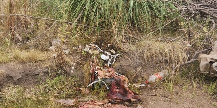 ALERTAN SOBRE RESIDUOS DE MATANZAS DE ANIMALES EN LA CIUDAD