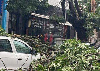 TEMPORAL: BRAGADO SUFRIÓ VOLADURAS DE TECHOS, CAIDAS DE GALPONES Y ARBOLES