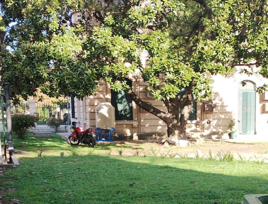 IMG 20250213 175059236 03