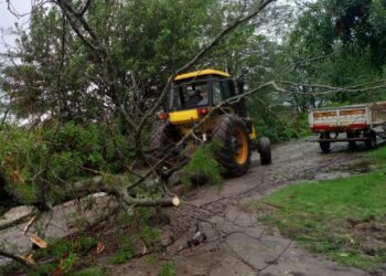 LA CONCEJAL LABAQUI ELOGIO EL ACCIONAR DE QUIENES TRABAJARON PARA SOLUCIONAR LAS CONSECUENCIAS DEL FUERTE TEMPORAL