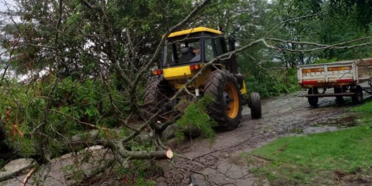 LA CONCEJAL LABAQUI ELOGIO EL ACCIONAR DE QUIENES TRABAJARON PARA SOLUCIONAR LAS CONSECUENCIAS DEL FUERTE TEMPORAL