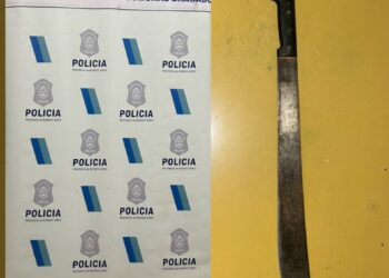 ESTABA PELEANDO CON OTRA PERSONA Y TENIA UN MACHETE