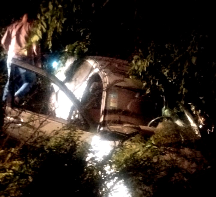 despiste bora curva1