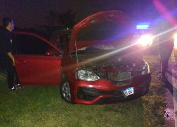 DESPISTE EN EL KILOMETRO 231 DE RUTA 5. NO HUBO HERIDOS