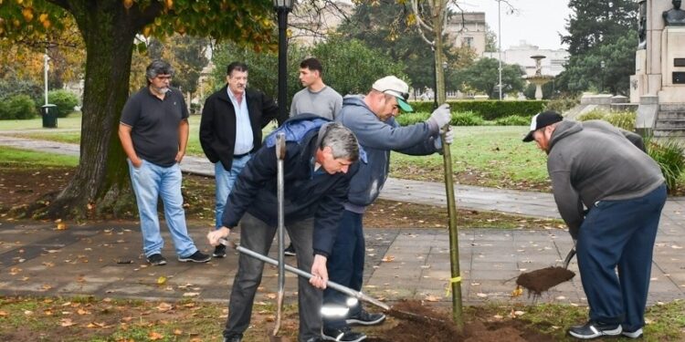 UNA BAJA MAS EN EL GOBIERNO DE BARENGHI. SE IRIA ELVIO DURETTI.