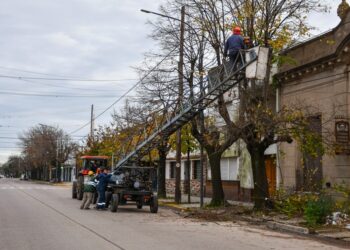 INICIÓ LA TEMPORADA DE PODA PROGRAMADA Y PODA CORRECTIVA
