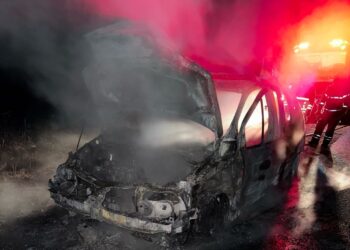 INCENDIO DE UN AUTO EN RUTA 46