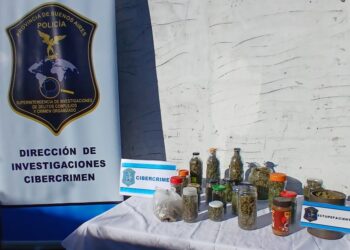 CAUSA POR ESTUPEFACIENTES JUNTO AL OPERATIVO PROTECCION DE LAS INFANCIAS V