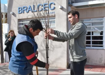 UN ÁRBOL, UNA CAUSA, UN COMPROMISO