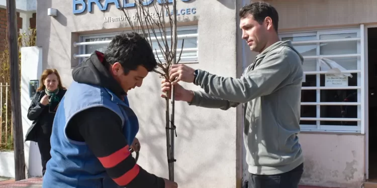 UN ÁRBOL, UNA CAUSA, UN COMPROMISO