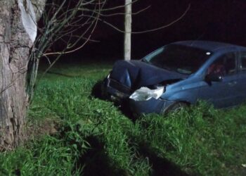 UN AUTO CHOCO UN ÁRBOL EN EL ACCESO A MECHITA