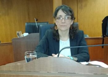 EL INTENDENTE BARENGHI NO PRIORIZA EL MEDIO AMBIENTE
