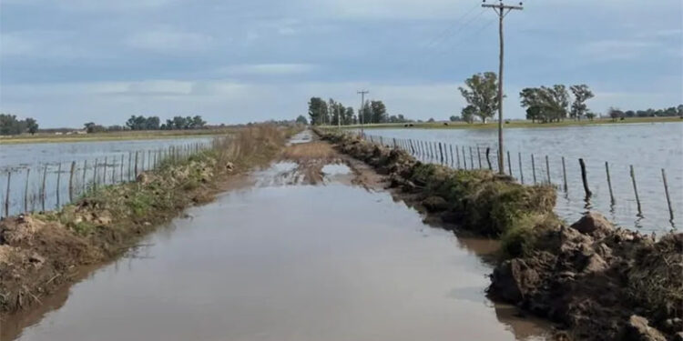 LA SENADORA EUGENIA GIL RECLAMA LAS OBRAS PARA MITIGAR LAS INUNDACIONES 1 LA SENADORA EUGENIA GIL RECLAMA LAS OBRAS PARA MITIGAR LAS INUNDACIONES