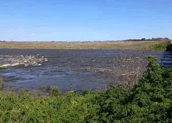 RIO SALADO: ADVIERTEN DE UN PELIGRO QUE SE ACERCA AL PUENTE EN RUTA NACIONAL 5 Y PUEDE LLEGAR A COLAPSAR