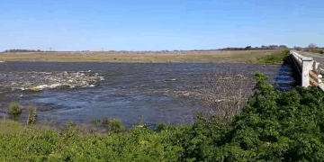 RIO SALADO: ADVIERTEN DE UN PELIGRO QUE SE ACERCA AL PUENTE EN RUTA NACIONAL 5 Y PUEDE LLEGAR A COLAPSAR