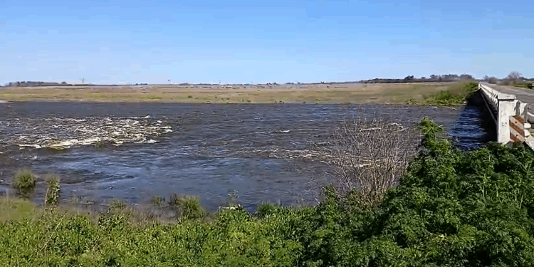 RIO SALADO: ADVIERTEN DE UN PELIGRO QUE SE ACERCA AL PUENTE EN RUTA NACIONAL 5 Y PUEDE LLEGAR A COLAPSAR
