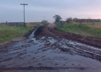 “LOS FUNCIONARIOS MUNICIPALES NO DAN LA CARA”. QUEJAS POR LOS CAMINOS RURALES