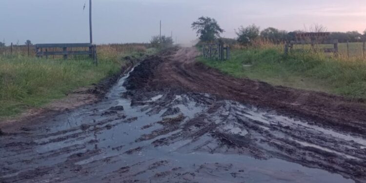 “LOS FUNCIONARIOS MUNICIPALES NO DAN LA CARA”. QUEJAS POR LOS CAMINOS RURALES