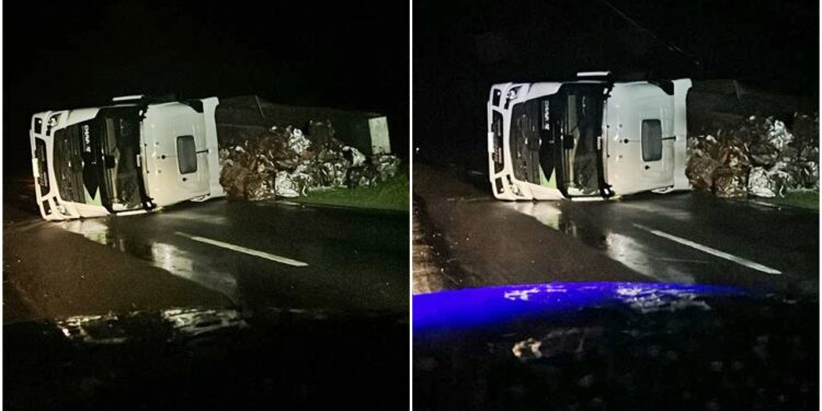 CAMIONERO BRAGADENSE PROTAGONIZO UN ACCIDENTE EN LA RUTA 188