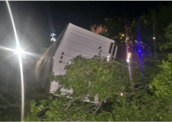 TRAGICO VUELCO EN RUTA 5. CAMIONERO PERDIO LA VIDA