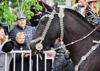 EL CLIMA NO PUDO CON LA FIESTA DEL CABALLO. SE REALIZARON TODAS LAS ACTIVIDADES PREVISTAS