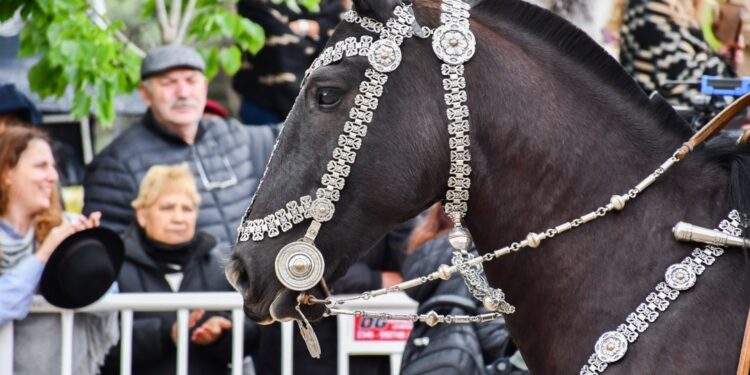 EL CLIMA NO PUDO CON LA FIESTA DEL CABALLO. SE REALIZARON TODAS LAS ACTIVIDADES PREVISTAS 1 EL CLIMA NO PUDO CON LA FIESTA DEL CABALLO. SE REALIZARON TODAS LAS ACTIVIDADES PREVISTAS