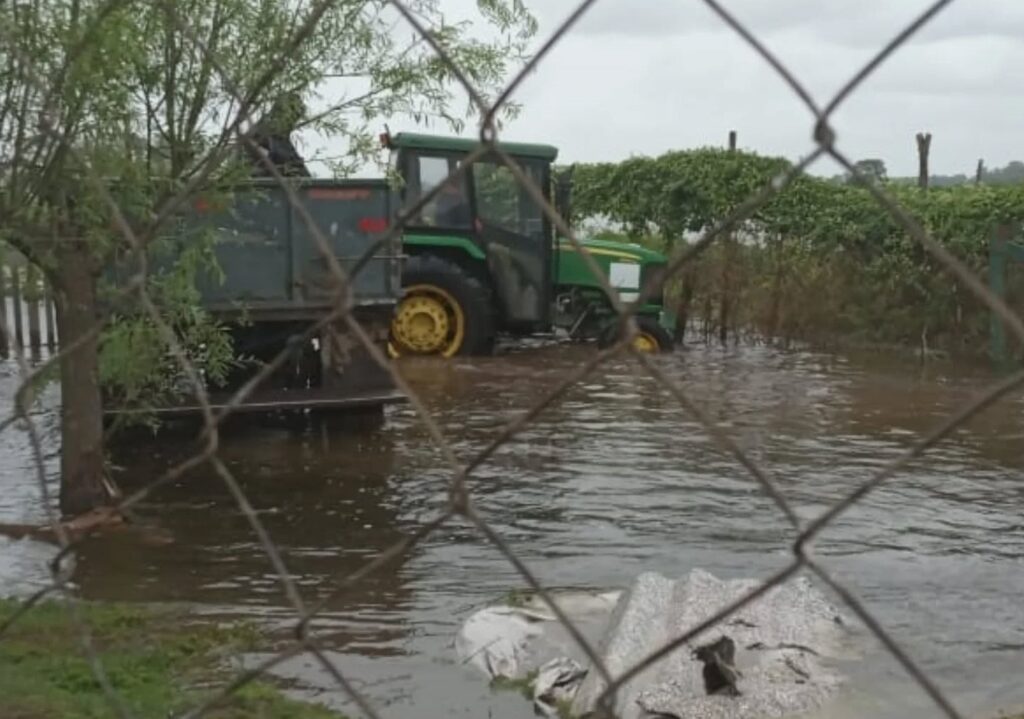 tractor para fundapab
