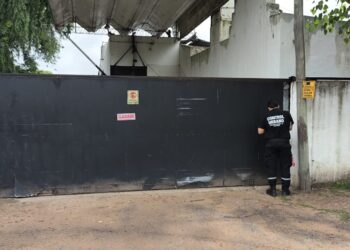 FINALMENTE LLEGÓ: CLAUSURA DE MATADERO DE CERDOS POR REITERADAS INFRACCIONES MUNICIPALES 6 FINALMENTE LLEGÓ: CLAUSURA DE MATADERO DE CERDOS POR REITERADAS INFRACCIONES MUNICIPALES