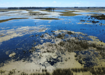 “NO HAY UN PLAN TRAZADO”: CONTRAPUNTO ENTRE EL GOBIERNO PROVINCIAL Y EL NACIONAL POR LAS TAREAS ANTE LAS INUNDACIONES