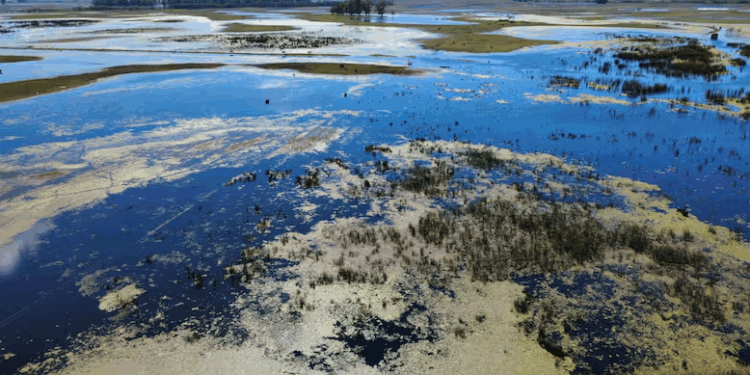 “NO HAY UN PLAN TRAZADO”: CONTRAPUNTO ENTRE EL GOBIERNO PROVINCIAL Y EL NACIONAL POR LAS TAREAS ANTE LAS INUNDACIONES