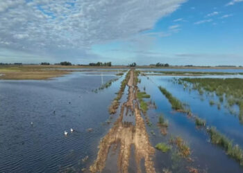 QUÉ ES EL “NODO BRAGADO”, LA OBRA HIDRÁULICA DE MÁS DE $130 MIL MILLONES QUE PROVINCIA LICITARÁ EN 2026 8 QUÉ ES EL “NODO BRAGADO”, LA OBRA HIDRÁULICA DE MÁS DE $130 MIL MILLONES QUE PROVINCIA LICITARÁ EN 2026
