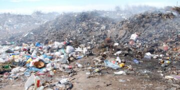 EMERGENCIA AMBIENTAL, ECOLOGICA Y SANITARIA DE BRAGADO; ASI LOS PIDE LA CONCEJAL LABAQUI