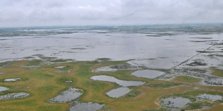 LA SUBSECRETARIA DE EMERGENCIAS DE LA PROVINCIA EVALUO TAMBIEN LA SITUACION DE BRAGADO 1 LA SUBSECRETARIA DE EMERGENCIAS DE LA PROVINCIA EVALUO TAMBIEN LA SITUACION DE BRAGADO