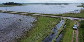 “SI QUEREMOS MÁS MAQUINARIA, NOS DIJO QUE LA COMPREMOS”: DESILUSIÓN ENTRE LOS PRODUCTORES QUE SE REUNIERON CON SANTIAGO HARDIE