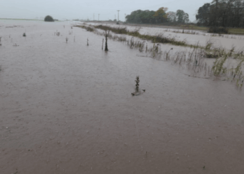 “NOS ALEGRAMOS DE QUE HAYAN INCORPORADO LAS OBRAS DEL SALADO, AL PRESUPUESTO PROVINCIAL” DIJO EUGENIA GIL 11 “NOS ALEGRAMOS DE QUE HAYAN INCORPORADO LAS OBRAS DEL SALADO, AL PRESUPUESTO PROVINCIAL” DIJO EUGENIA GIL